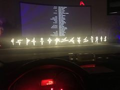 -枫花园汽车电影院(朝阳公园店)