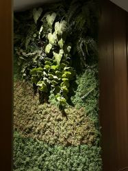 -禾颜社·精致美容