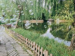 -东莞市可园博物馆