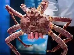 -徐记海鲜(南油永新汇店)