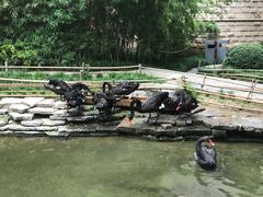 -西安曲江寒窑遗址公园