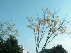 -海景壹号大酒店(滨湖店)