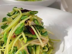 鲜腐竹拌豌豆苗-北京厨房(西安SKP店)