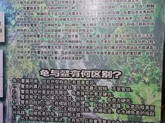 -上海大自然野生昆虫馆(东方明珠·爬宠昆虫探索中心)