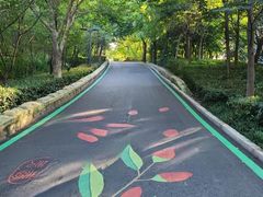 -北岭山森林公园