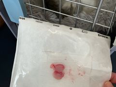 -伟伟宠物医院·瑞派猫友好医院·猫科(光谷店)