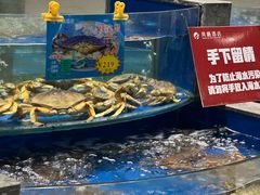 -凤栖酒店