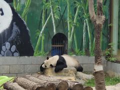 -南昌动物园