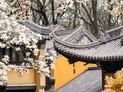 -灵谷景区