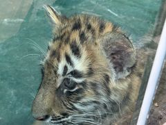 -栾川竹海野生动物园