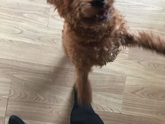 -纳吉亚猫专科动物医院博雅分院