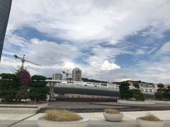 -演武大桥观景平台