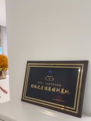 -BELLAREAL新美社