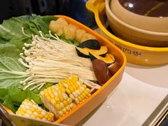 -润园四季椰子鸡火锅(海上世界店)