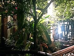 -爪哇空气酒吧