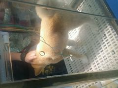-乐宠宠物店(世纪金源店)