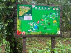 -海南热带野生动植物园
