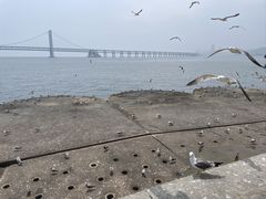 -星海广场
