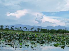 -西双版纳傣族园