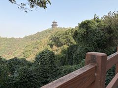 -杭州半山国家森林公园