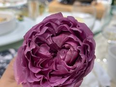 -小苍兰风铃草蛋糕甜品(沈阳店)