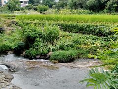 -天台山赤城山景区