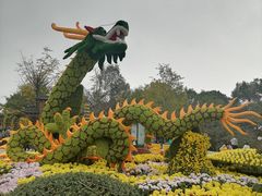 -南山植物园