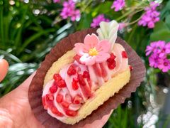 -杜哈夫DOUX RÊVE·生日蛋糕(日月光店)