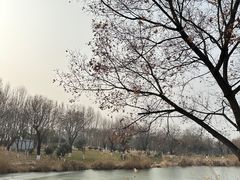 -西安世博园