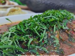 -老字号怡玺·藿香雅鱼(20年雅安店)