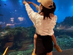 -涛·海底餐厅·美人鱼·自助餐·海底隧道(三亚海棠湾洲际度假酒店)