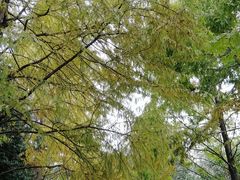 -苏州河梦清园环保主题公园