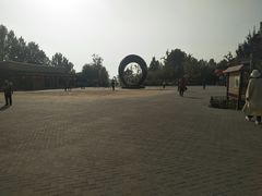 -大兴滨河森林公园