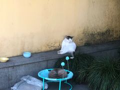 -灵顺寺