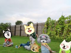 -南汇新场正宗水蜜桃采摘
