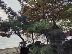 -苏堤停车场