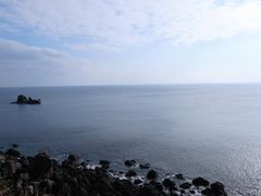 -涉地可支
