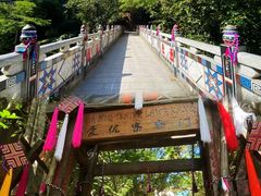 -西双版纳原始森林公园