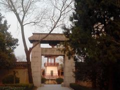 美花-万佛塔公园