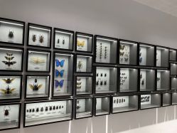 -酷嗒动物文化乐园(cutezoo西溪乐天城店)