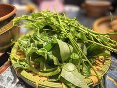 -慢丽江·云南野生菌土鸡锅(西山店)