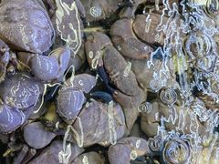 -龙溪海鲜酒家(溪涌店)