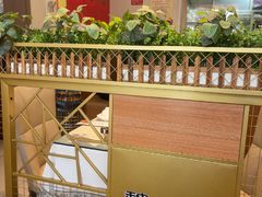 -魏记大碗羊肉(临河总店)