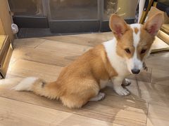 -天井·丑面包搭咖啡