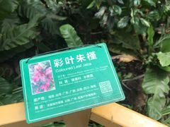 -南宫五洲植物乐园