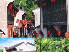 -鲁镇