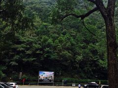 -天明山温泉大酒店