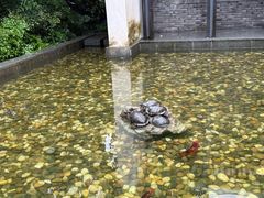 -法云安缦酒店