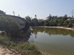-溪悦渔庄(九龙湖店)