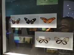 -上海昆虫博物馆